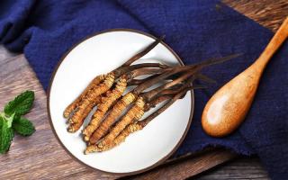 冬蟲(chóng)夏草有何藥用價(jià)值，蟲(chóng)草有啥子作用