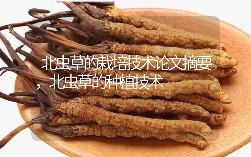 北蟲草的栽培技術(shù)論文摘要，北蟲草的種植技術(shù)