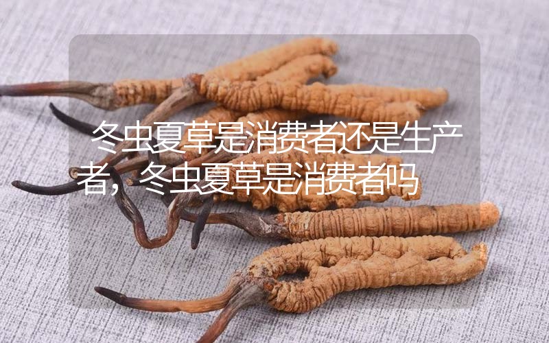 貧血吃冬蟲夏草有效果嗎，貧血虛弱者可以用冬蟲夏草嗎？