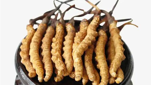 一級(jí)蟲草價(jià)格