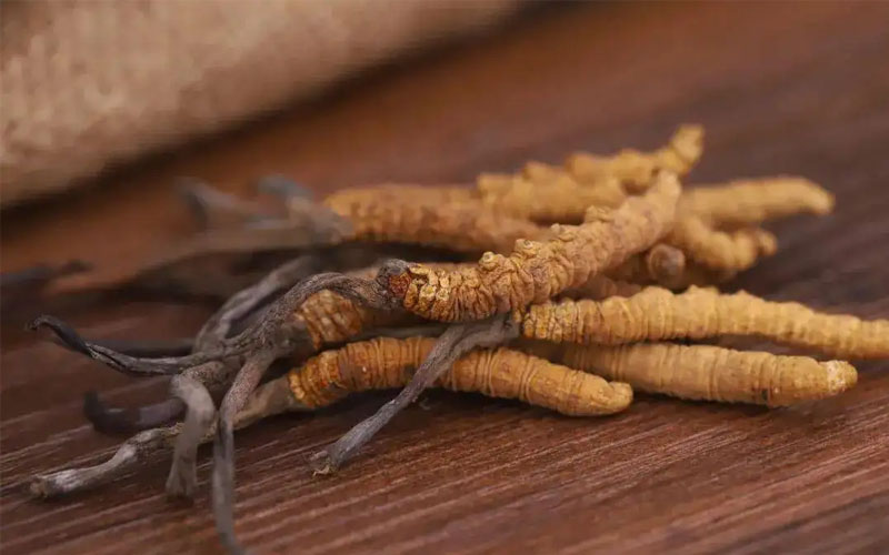 不同產(chǎn)地冬蟲夏草價(jià)格差別大嗎？