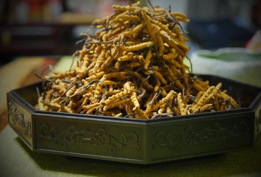 <a href=http://www.eaebo.com/ target=_blank class=infotextkey>冬蟲夏草</a>