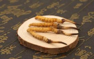 關(guān)于“冬蟲夏草”你可能誤解了兩件事！
