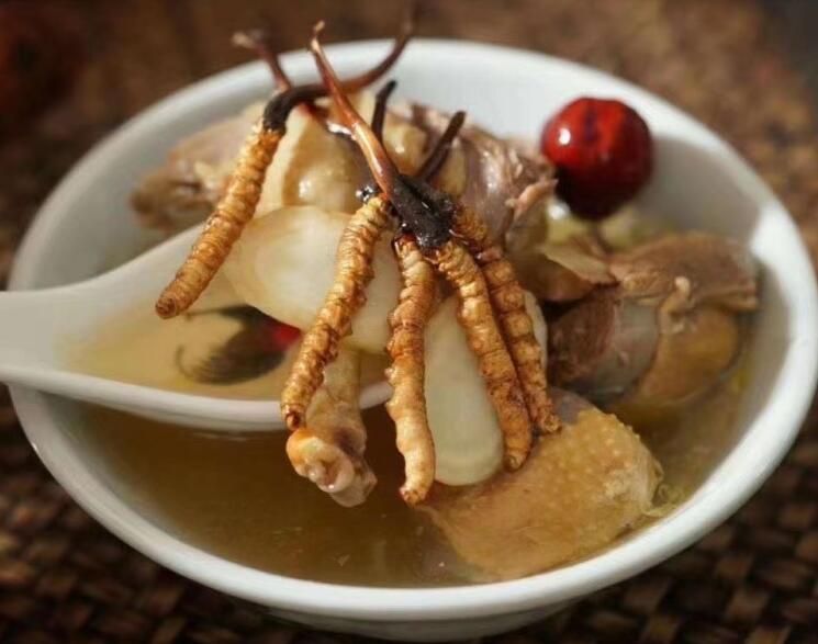 冬蟲夏草可以空腹吃嗎？