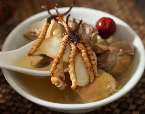 燉冬蟲夏草可以加枸杞嗎？