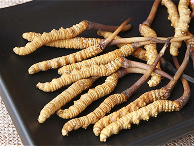 真的冬蟲夏草什么價(jià)格？影響冬蟲夏草價(jià)格波動(dòng)的3個(gè)關(guān)鍵因素