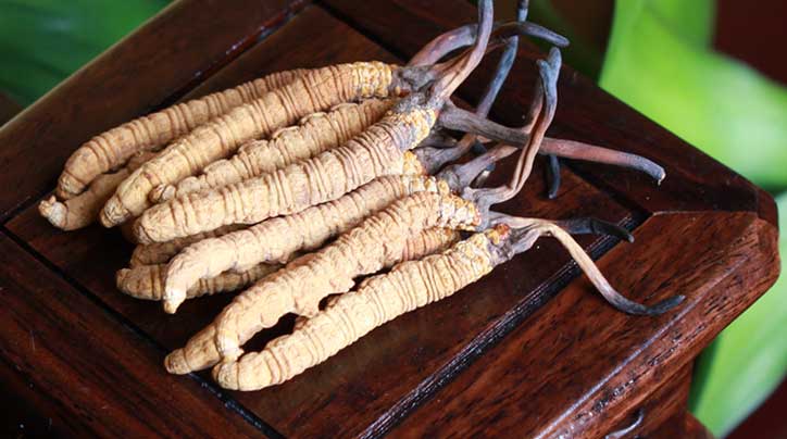 那曲冬蟲夏草煲湯的滋補(bǔ)秘籍