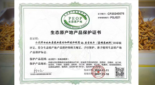 德耀娜秀 奮進(jìn)比如║熱烈祝賀！比如縣“亞貢牦?！比脒x農(nóng)業(yè)農(nóng)村部全國名特優(yōu)新農(nóng)產(chǎn)品名錄