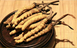 如何辨別真假冬蟲(chóng)夏草