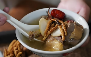 冬蟲夏草搭配有道，滋養(yǎng)肺部效果妙