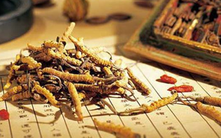 同仁堂健康冬蟲夏草：傳承品質(zhì)，饋贈健康