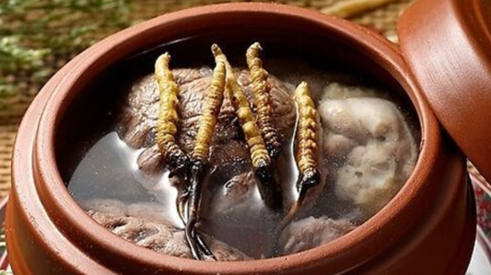 鮮冬蟲夏草吃多會(huì)上火嗎？一文解析真相