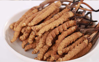 冬蟲(chóng)夏草適合所有人群?jiǎn)?？一文揭?> </div>
            <div   id=