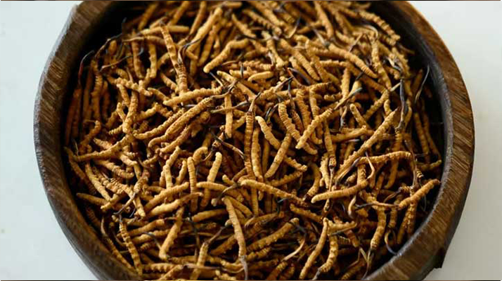 <a href=http://www.eaebo.com/jiage/ target=_blank class=infotextkey>冬蟲夏草價格</a>探秘：多因素交織下的市場行情