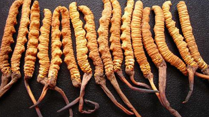 干<a href=http://www.eaebo.com/jiage/ target=_blank class=infotextkey>冬蟲夏草多少錢</a>一斤？一文解析其價格密碼