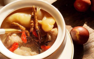 冬蟲夏草與什么泡水喝？養(yǎng)生搭配指南