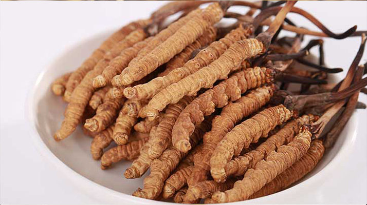 冬蟲夏草藥酒飲用指南:滋補養(yǎng)生的正確打開方式