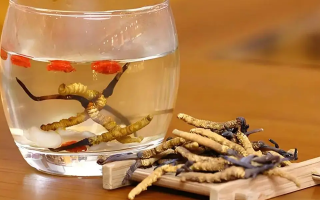 冬蟲夏草用什么壺煮水