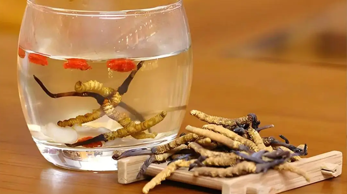 冬蟲(chóng)夏草花泡水喝的功效