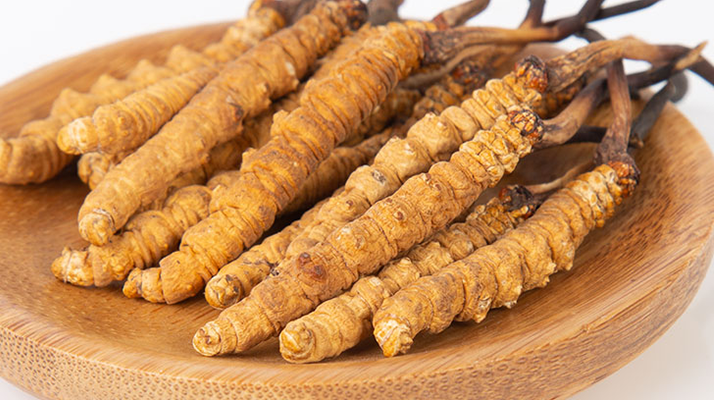 冬蟲(chóng)夏草年產(chǎn)量多少