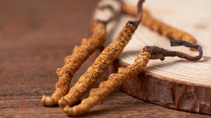 國(guó)外冬蟲(chóng)夏草產(chǎn)地有哪些