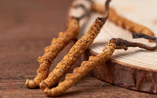 國(guó)外冬蟲(chóng)夏草產(chǎn)地有哪些