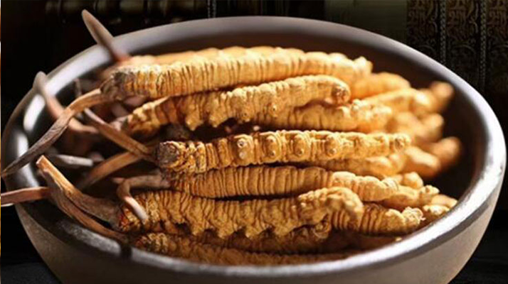 生吃冬蟲(chóng)夏草什么味道