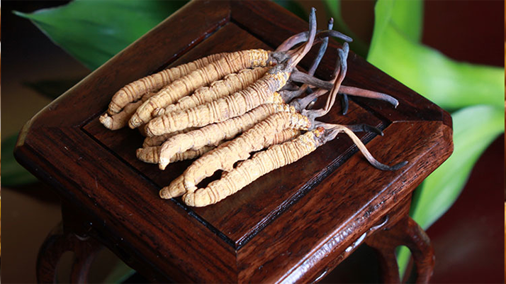 新鮮<a href=http://www.eaebo.com/jiage/ target=_blank class=infotextkey>冬蟲夏草的價格</a>一根