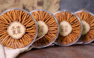 冬蟲夏草哪里怎么賣