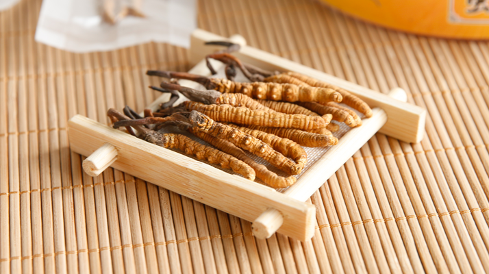 這些藥材形似冬蟲夏草，辨別要點需牢記
