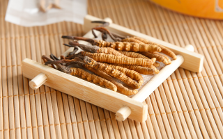  冬蟲(chóng)夏草效果好不好用？看適用場(chǎng)景與人群，理性看待才不踩坑