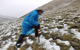 西藏挖冬蟲夏草在什么時候？產(chǎn)區(qū)與時間全攻略