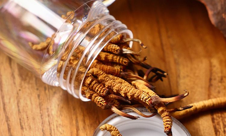 <a href=http://www.eaebo.com/jiage/ target=_blank class=infotextkey>冬蟲夏草多少錢</a>一條