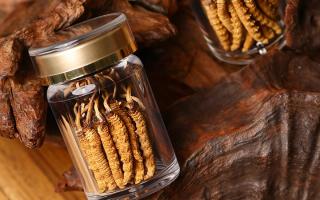 冬蟲夏草養(yǎng)生指南：分清滋補(bǔ)功效，避開養(yǎng)生誤區(qū)