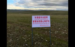 高原之上，蟲(chóng)草共生；守護(hù)生態(tài)，東強(qiáng)堂與你同行