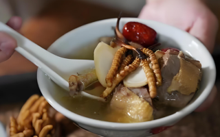  冬蟲(chóng)夏草和什么食材搭配煲湯比較好？