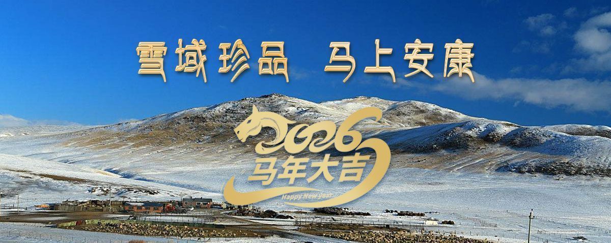 雪域高原藏珍品，2026愿您馬上安康——來(lái)自西藏那曲蟲(chóng)草網(wǎng)的新春祝福