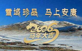 雪域高原藏珍品，2026愿您馬上安康——來自西藏那曲蟲草網(wǎng)的新春祝福