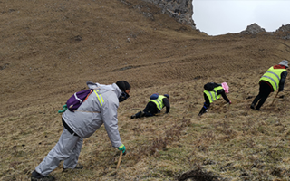 深耕那曲雪域，甄選正宗好草——2026那曲冬蟲夏草優(yōu)質(zhì)品牌盤點